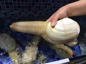 男生丁丁照片,青春洋溢的校园少年