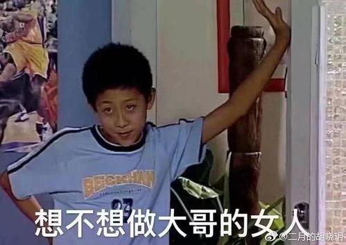 崔皓月的表情包,笑出腹肌的瞬间